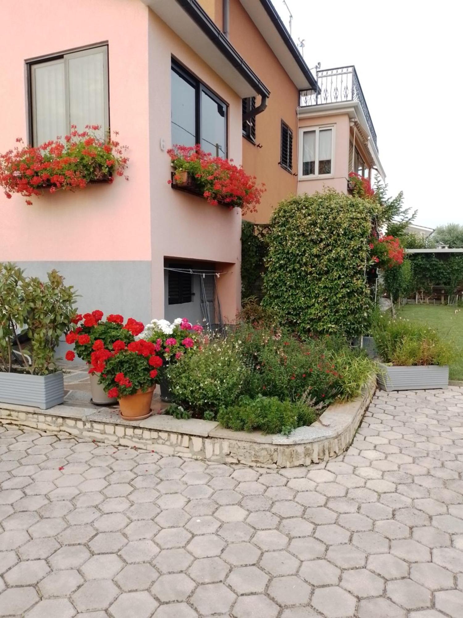 Apartman Olga Umag Kültér fotó