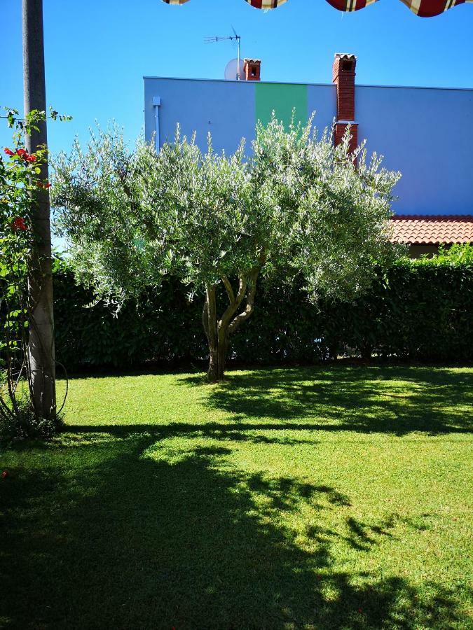 Apartman Olga Umag Kültér fotó